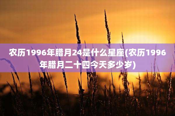 农历1996年腊月24是什么星座(农历1996年腊月二十四今天多少岁)