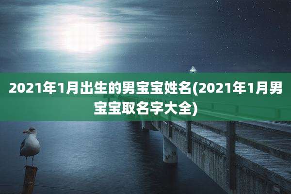 2021年1月出生的男宝宝姓名(2021年1月男宝宝取名字大全)