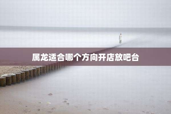 属龙适合哪个方向开店放吧台