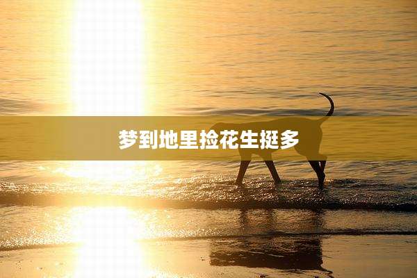 梦到地里捡花生挺多