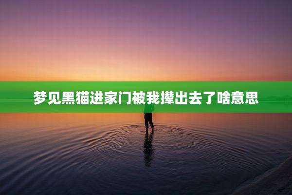 梦见黑猫进家门被我撵出去了啥意思