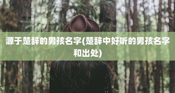 源于楚辞的男孩名字(楚辞中好听的男孩名字和出处)