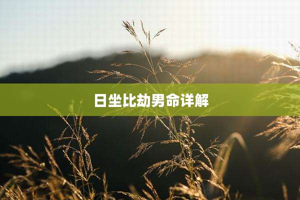 日坐比劫男命详解
