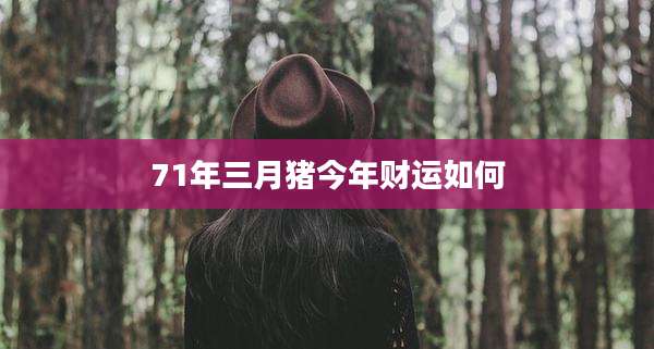71年三月猪今年财运如何