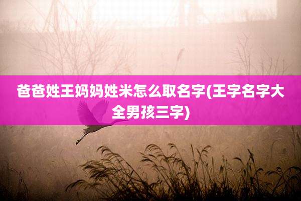 爸爸姓王妈妈姓米怎么取名字(王字名字大全男孩三字)