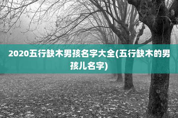 2020五行缺木男孩名字大全(五行缺木的男孩儿名字)