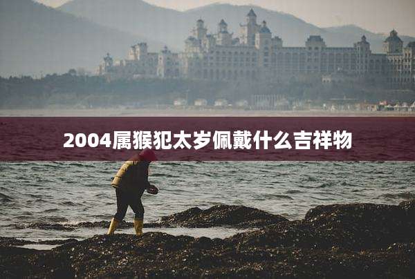 2004属猴犯太岁佩戴什么吉祥物