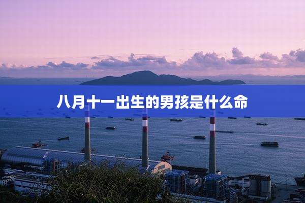 八月十一出生的男孩是什么命