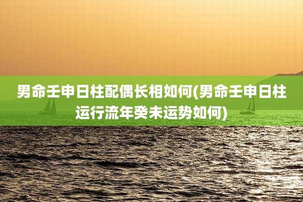 男命壬申日柱配偶长相如何(男命壬申日柱运行流年癸未运势如何)