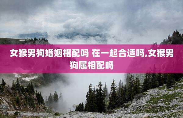 女猴男狗婚姻相配吗 在一起合适吗,女猴男狗属相配吗