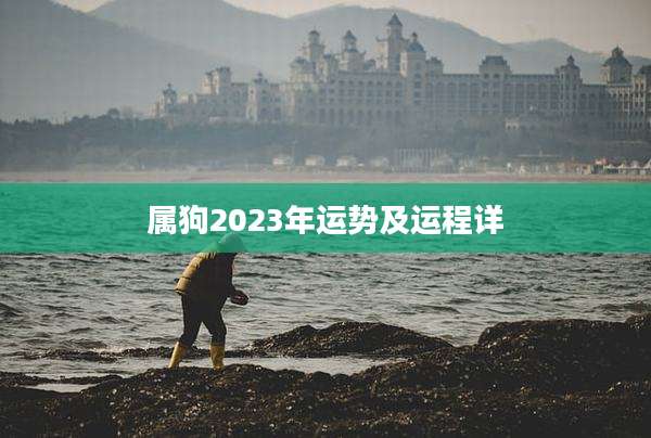 属狗2023年运势及运程详
