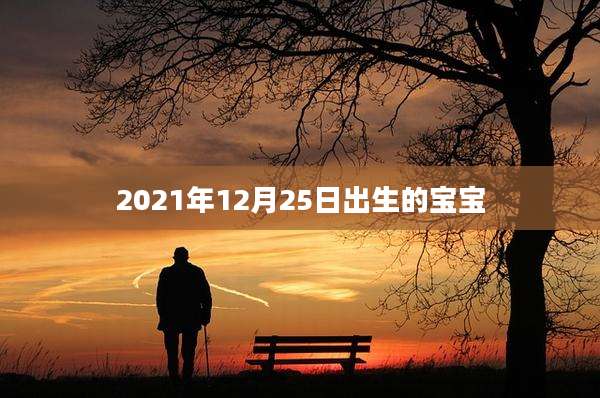 2021年12月25日出生的宝宝
