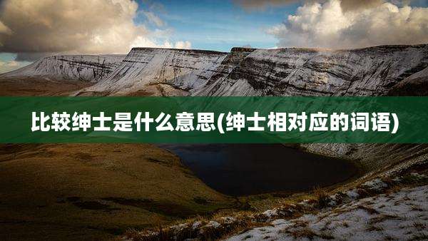 比较绅士是什么意思(绅士相对应的词语)