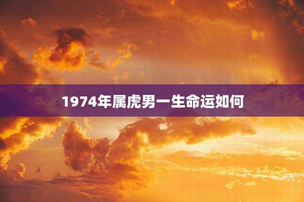 1974年属虎男一生命运如何