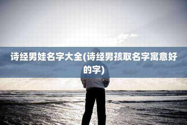 诗经男娃名字大全(诗经男孩取名字寓意好的字)