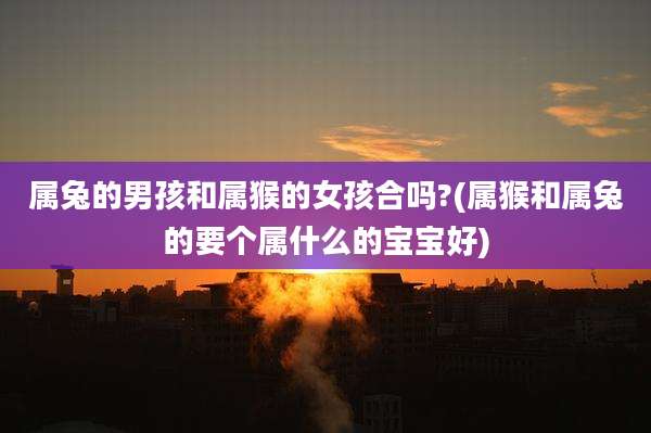 属兔的男孩和属猴的女孩合吗?(属猴和属兔的要个属什么的宝宝好)