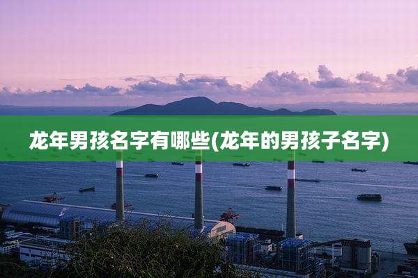 龙年男孩名字有哪些(龙年的男孩子名字)