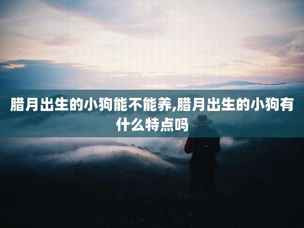 腊月出生的小狗能不能养,腊月出生的小狗有什么特点吗
