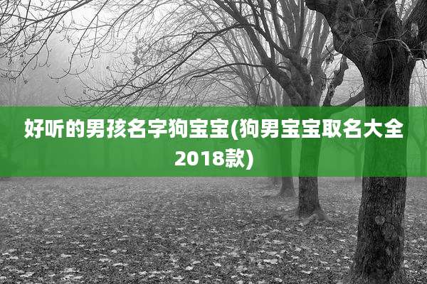 好听的男孩名字狗宝宝(狗男宝宝取名大全2018款)