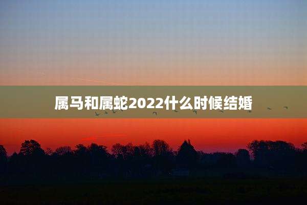 属马和属蛇2022什么时候结婚