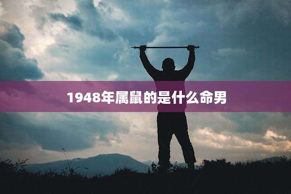 1948年属鼠的是什么命男