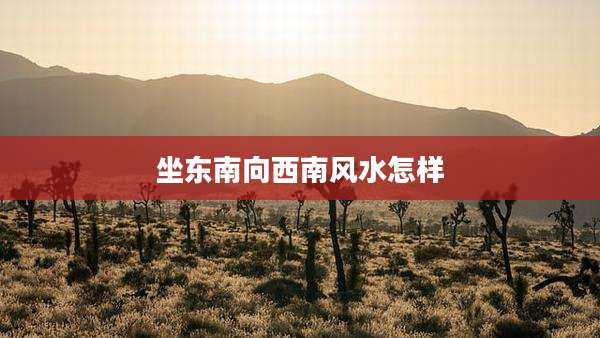 坐东南向西南风水怎样