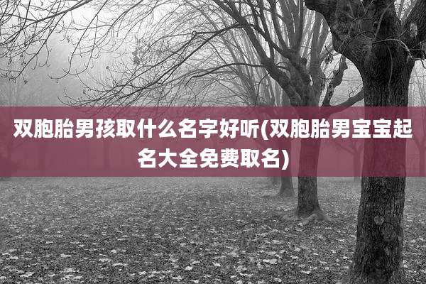 双胞胎男孩取什么名字好听(双胞胎男宝宝起名大全免费取名)