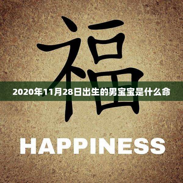 2020年11月28日出生的男宝宝是什么命