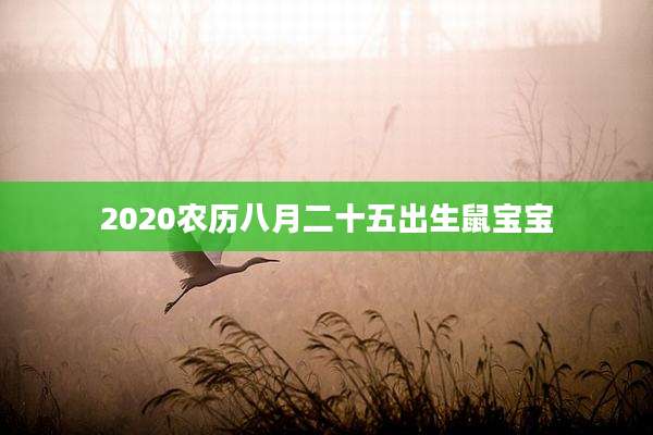 2020农历八月二十五出生鼠宝宝