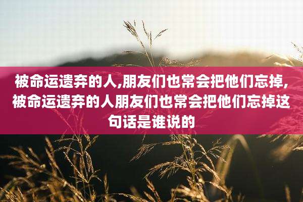 被命运遗弃的人,朋友们也常会把他们忘掉,被命运遗弃的人朋友们也常会把他们忘掉这句话是谁说的