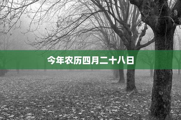今年农历四月二十八日