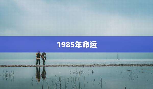 1985年命运