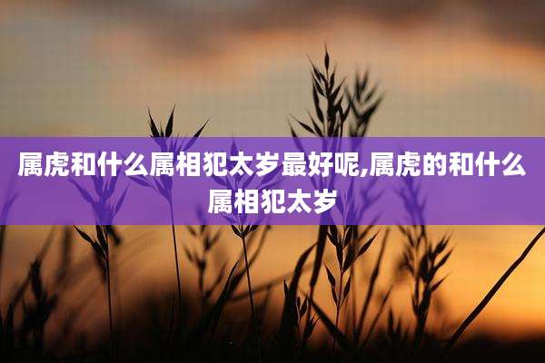 属虎和什么属相犯太岁最好呢,属虎的和什么属相犯太岁