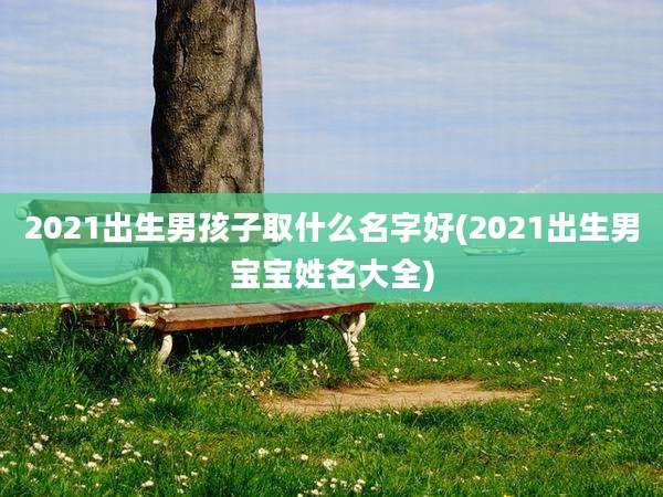 2021出生男孩子取什么名字好(2021出生男宝宝姓名大全)