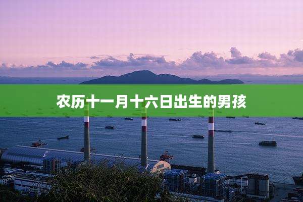 农历十一月十六日出生的男孩