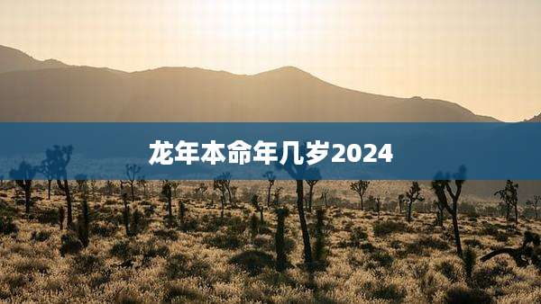 龙年本命年几岁2024