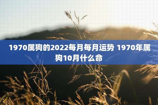 1970属狗的2022每月每月运势 1970年属狗10月什么命