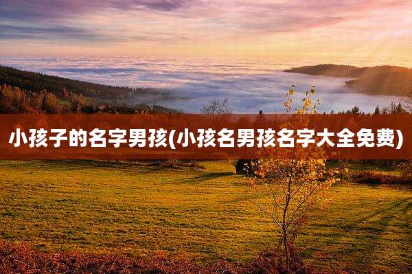 小孩子的名字男孩(小孩名男孩名字大全免费)