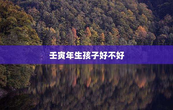 壬寅年生孩子好不好