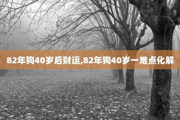 82年狗40岁后财运,82年狗40岁一难点化解