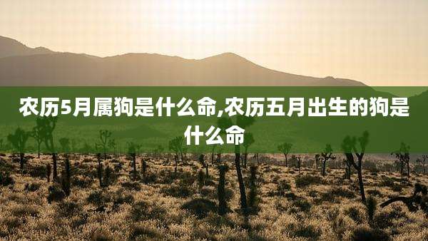农历5月属狗是什么命,农历五月出生的狗是什么命