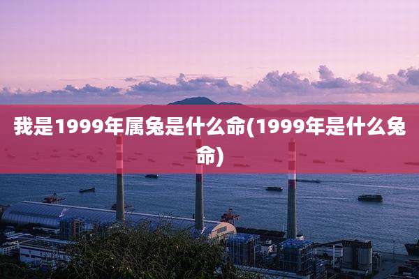 我是1999年属兔是什么命(1999年是什么兔命)