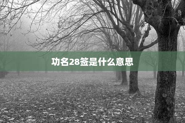 功名28签是什么意思