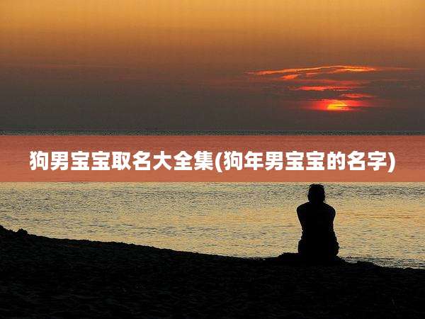 狗男宝宝取名大全集(狗年男宝宝的名字)