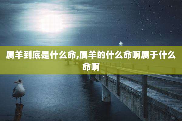 属羊到底是什么命,属羊的什么命啊属于什么命啊