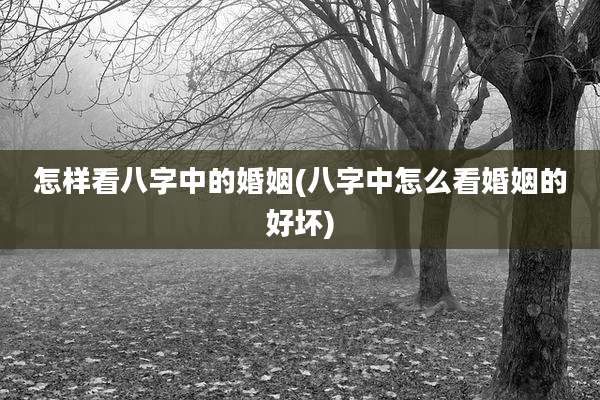 怎样看八字中的婚姻(八字中怎么看婚姻的好坏)