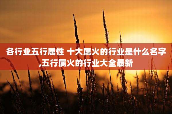各行业五行属性 十大属火的行业是什么名字,五行属火的行业大全最新