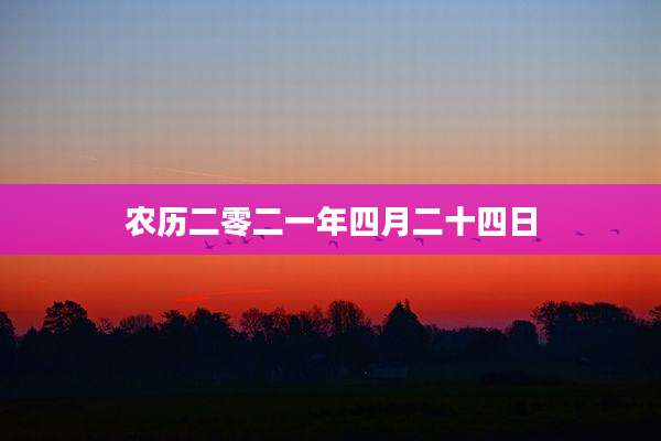 农历二零二一年四月二十四日
