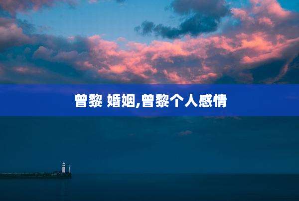 曾黎 婚姻,曾黎个人感情