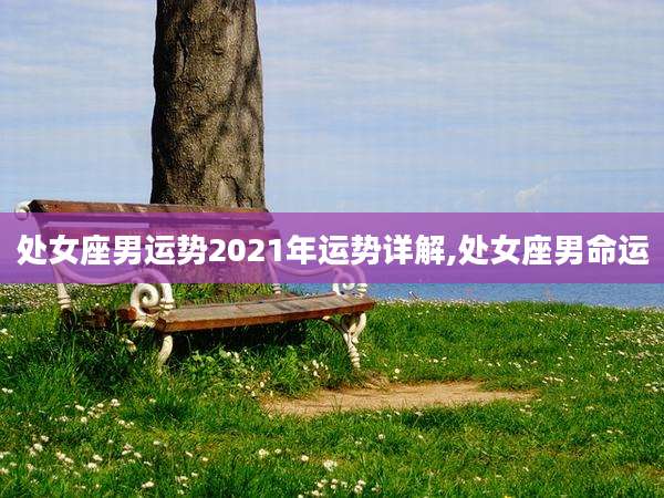 处女座男运势2021年运势详解,处女座男命运